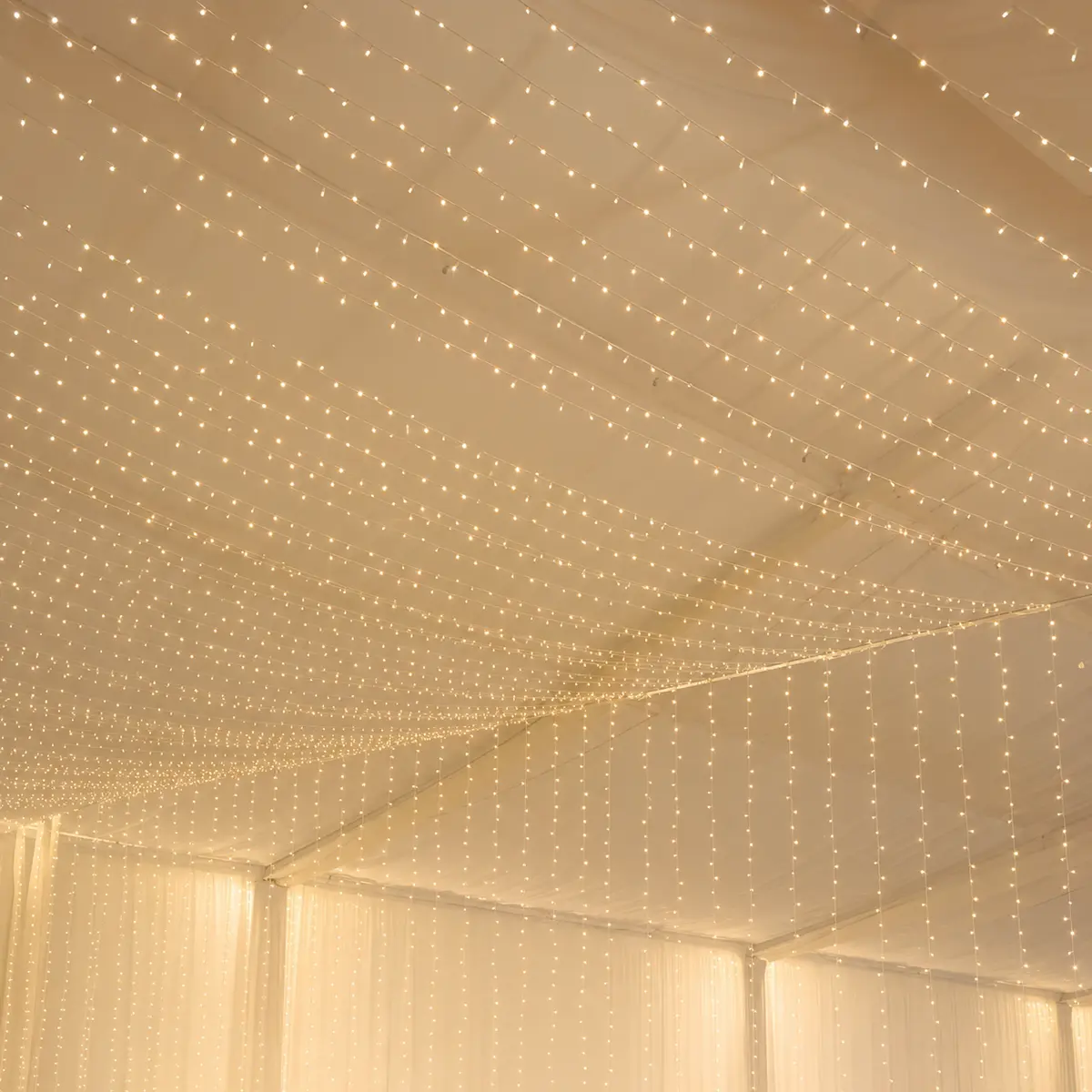 Fairy Lights